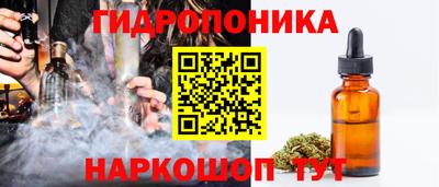 винт Сланцы