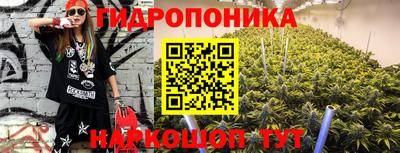 винт Сланцы