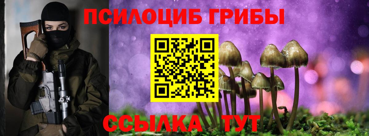 Буйнакск  Галлюциногенные грибы Cubensis  Вход с VPN  Псилоцибиновые грибы Magic Shrooms 